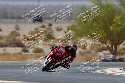 media/Apr-10-2022-SoCal Trackdays (Sun) [[f104b12566]]/Turn 5 Tree of Life (1040am)/